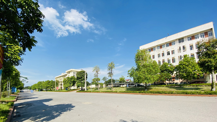 Tổ chức cho người học trở lại trường học tập trong trạng thái bình thường mới